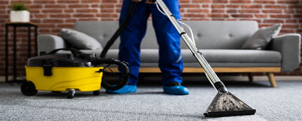 Professional carpet cleaning